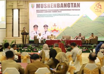 Gubernur Lampung Dorong Penguatan Ketahahan Pangan dan Transformasi Ekonomi