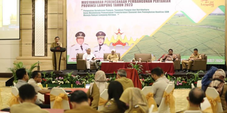 Gubernur Lampung Dorong Penguatan Ketahahan Pangan dan Transformasi Ekonomi