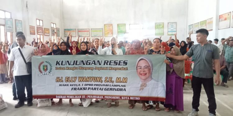 Politisi Gerindra Elly Wahyuni Janji Atasi Kelangkaan Pupuk Subsidi