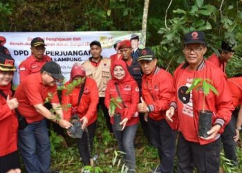 DPD PDIP Lampung Lakukan Gerakan Penghijauan dan Bersih-Bersih Sungai