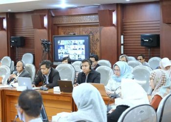 Lembaga Akreditasi Internasional FIBAA Visitasi 3 Prodi FISIP Unila