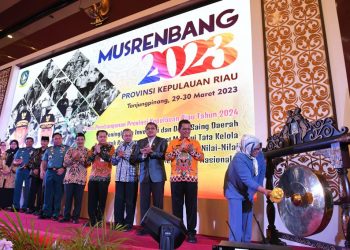Realisasi APBD Terbaik dan Capaian IPM Tertinggi, Kemendagri Apresiasi Provinsi Kepulauan Riau
