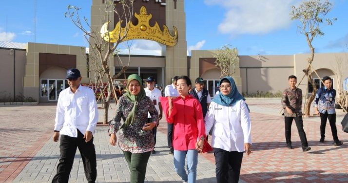 Wagub Chusnunia Tinjau Taman Bermain Krakatau Park di Kawasan Bakauheni