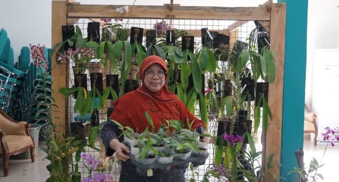 Unila Akan Luncurkan Pusat Penelitian Anggrek