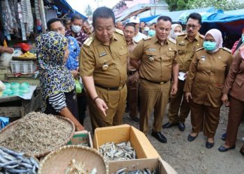 Gubernur Arinal Tinjau Pasar Natar Untuk Pastikan Ketersediaan dan kestabilan Harga Bahan Pokok