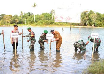 Penanaman Mangrove Serentak Nasional 2023, Gubernur Arinal Berharap Dapat Hindari Bahaya Rob dan Erosi