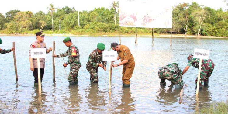 Penanaman Mangrove Serentak Nasional 2023, Gubernur Arinal Berharap Dapat Hindari Bahaya Rob dan Erosi