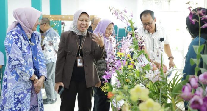 Pusat Penelitian Anggrek Unila Koleksi Plasma Nutfah Anggrek Alam Indonesia
