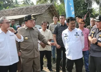 Gubernur Arinal Tinjau Rehabilitasi Jalan Provinsi Ruas Gedong Tataan-Kedondong