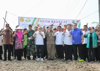 Gubernur Lampung Bersama Mentan Zulhas dan Mendag Yasin Limpo Lakukan Gerakan Tanam Kedelai