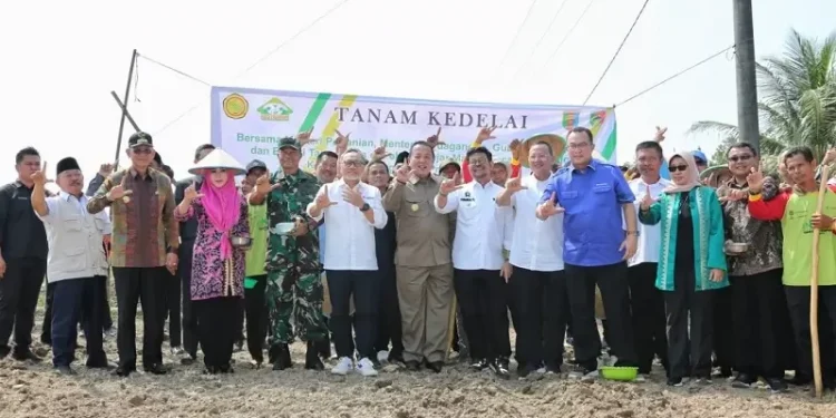 Gubernur Lampung Bersama Mentan Zulhas dan Mendag Yasin Limpo Lakukan Gerakan Tanam Kedelai