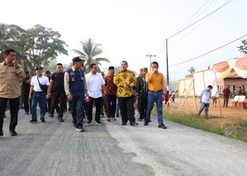 Gubernur Arinal Tinjau Pengerjaan Jalan Provinsi di Tubaba dan Way Kanan