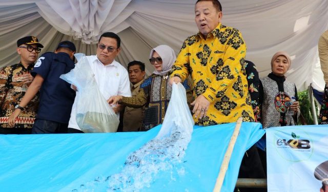 Gubernur Arinal Hadiri Bakti Sosial Perantineba, Sekaligus Tebar 500 Ribu Benih Ikan di Dermaga