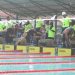 Piala Walikota Bandar Lampung, Lahirkan Atlet Renang Berkualitas