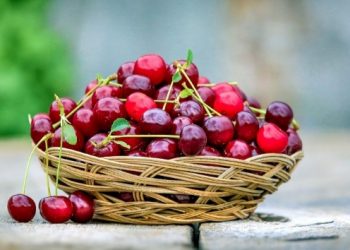 Buah-Buahan yang Dianjurkan Untuk Penderita Diabetes