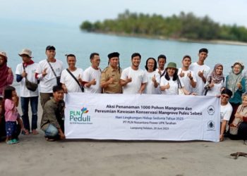 PLN – Mitra Bentala Resmikan Wisata Tracking Mangrove Pulau Sebesi