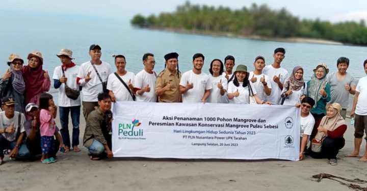 PLN – Mitra Bentala Resmikan Wisata Tracking Mangrove Pulau Sebesi