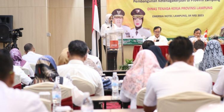 Pemerintah Provinsi Lampung Gelar Rakor dan Konsolidasi Arah Kebijakan Ketenagakerjaan Provinsi Lampung Tahun 2024