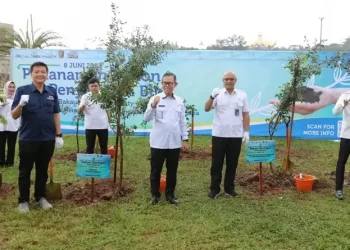 Pemprov Lampung Hijaukan Kawasan Wisata Krakatau Park