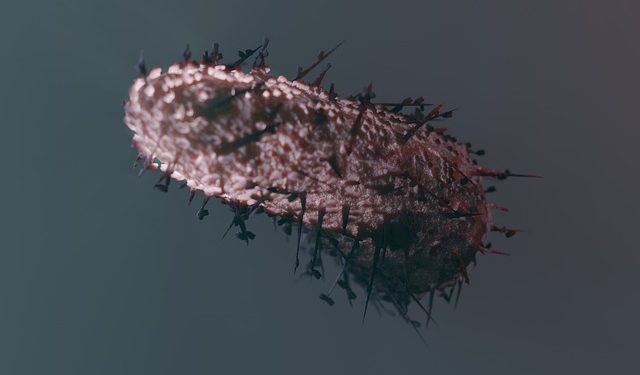 Peneliti Kembangkan Obat Rabies Simtomatik