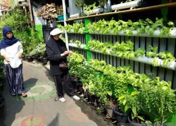 Kadis Pertanian Kota Bandar Lampung Ajak Warga Lakukan “Urban Farming” Guna Jaga Ketahanan Pangan