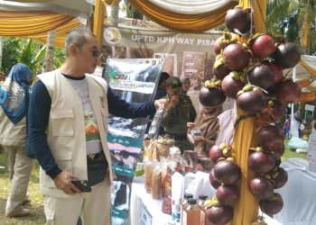 Festival Wisata Hutan Lampung Promosikan Wisata Petualangan