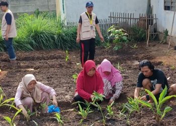 Mahasiswa KKN UGM Bersama Ibu-Ibu PKK Lakukan Penanaman Toga di Kebun Dusun Serbajadi