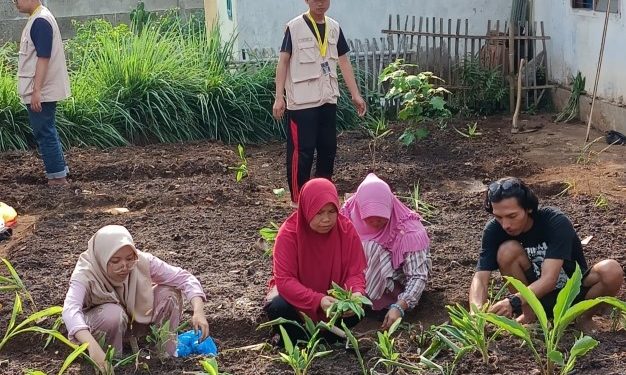 Mahasiswa KKN UGM Bersama Ibu-Ibu PKK Lakukan Penanaman Toga di Kebun Dusun Serbajadi