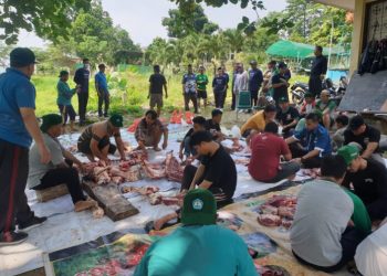 Unila Kurban 32 Sapi 9 Kambing, Panitia Gunakan Plastik Organik