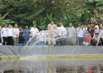 Gubernur Arinal Panen Perdana Udang Vaname Air Tawar, di PKK Agropark Lampung Selatan 