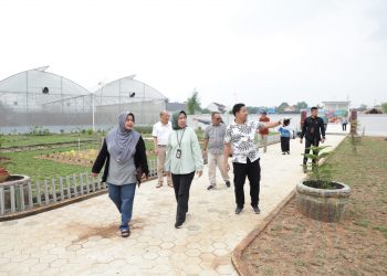 Unila dan Taman Edukasi Metro Jalin Kerja Sama Pengembangan Kewirausahaan