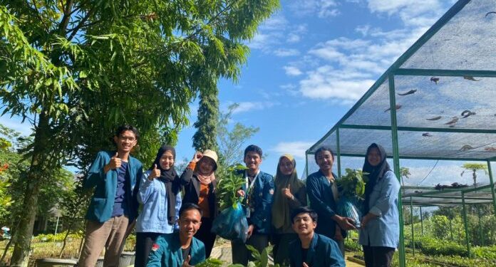 Mahasiswa KKN Unila Periode II/2023 Tanam 3500 Bibit di Kecamatan Rumbia