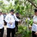 Gubernur Arinal Panen Alpukat Siger di Desa Giri Mulyo Lampung Timur