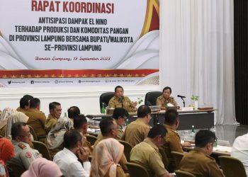 Antisipasi Dampak El Nino, Provinsi Lampung Targetkan Tambah Tanam Padi