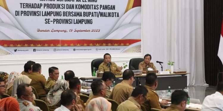 Antisipasi Dampak El Nino, Provinsi Lampung Targetkan Tambah Tanam Padi