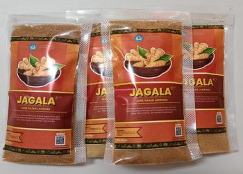 Dosen FK Unila Latih Warga Membuat Jahe Gajah Lampung Buatan sebagai Suplemen Kesehatan