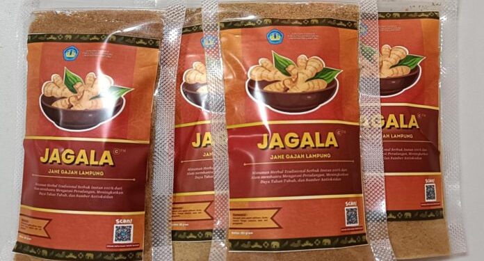Dosen FK Unila Latih Warga Membuat Jahe Gajah Lampung Buatan sebagai Suplemen Kesehatan