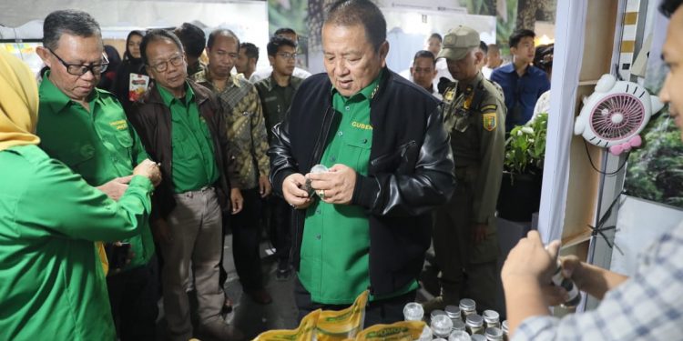 Gubernur Arinal : Festival Rempah dan Lada Bukti Komitmen Pemprov Lampung Kembalikan Kejayaan Lada Hitam