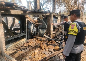 Diduga Konsleting Listrik Kandang Terbakar, Ribuan Ayam Mati Terpanggang