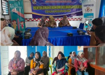 Dinas PP dan KB Lampung Utara Berikan Penyuluhan Kemandirian Ekonomi Keluarga Kreatif