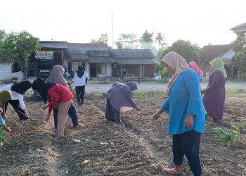 Mahasiswa KKN Unila Ajak Warga Manfaatkan Lahan Kosong Jadi Kebun Sayuran