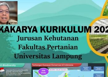 Jurusan Kehutanan Unila Gelar Lokakarya Pengembangan Kurikulum 2024