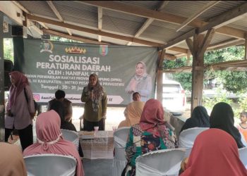 Anggota DPRD Lampung Hanifah Ajak Masyarakat Pesawaran Budayakan Rembug Desa