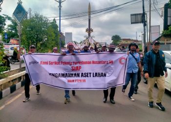 SPPN VII Gelar Aksi Damai Minta PN Kotabumi Tunda Eksekusi Lahan PTPN VII