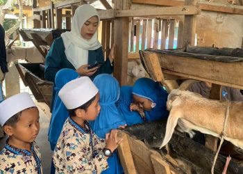 Peternakan Kambing Etawa “Telaga Rizqy Farm” Tawarkan Wisata Edukasi Menarik