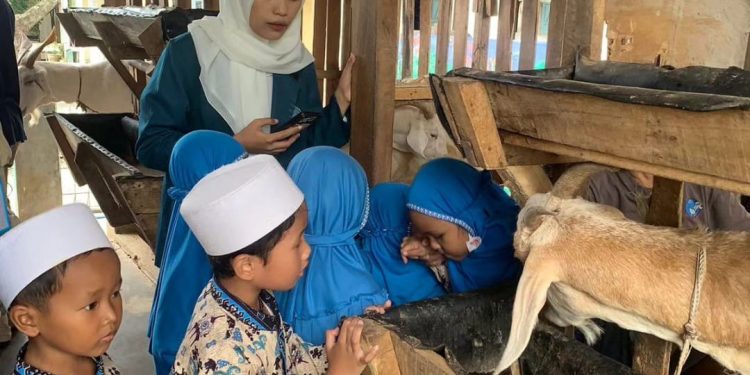 Peternakan Kambing Etawa “Telaga Rizqy Farm” Tawarkan Wisata Edukasi Menarik