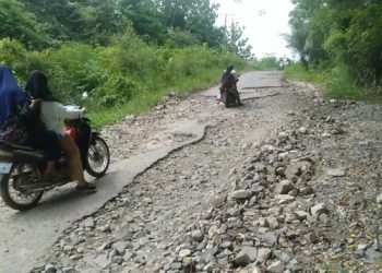 Jalan Penghubung di Pekon Gunung Terang Kecamatan Bulok Rusak Parah