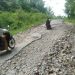 Jalan Penghubung di Pekon Gunung Terang Kecamatan Bulok Rusak Parah