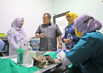 Gubernur Arinal Tinjau Vaksinasi Rabies dan Pemberian Vitamin Gratis
