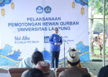 Unila Kurban 32 Sapi dan 17 Kambing Rayakan Idul Adha 1445 Hijriyah